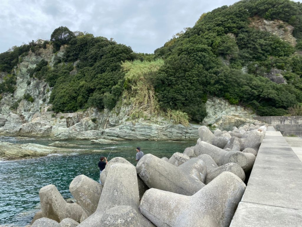 本格派の一文字釣り 和歌山・雑賀崎渡船で狙う好釣果