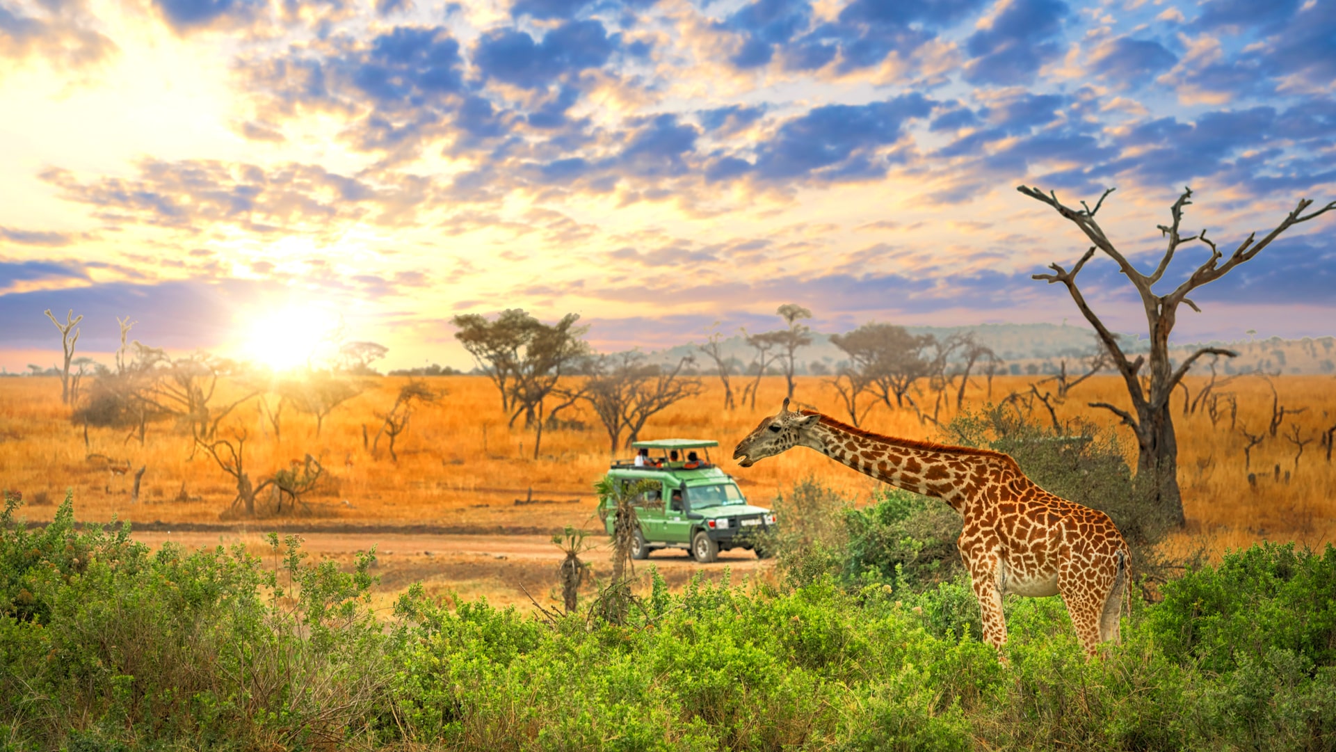 まるで海外絶景ランキング2023！国内でも海外旅行の気分が味わえる 全国じゃらんニュース