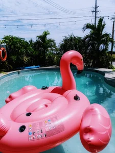 頑張れ新生活！ 夢に向かって歩きだす全ての人に贈る応援歌『Ｕ２ ウォーク・オン Ｕ２