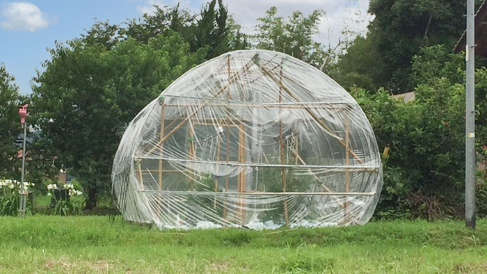 竹で作るビニールハウス！？バンブーグリーンハウスを自作してみました！施設園芸.com