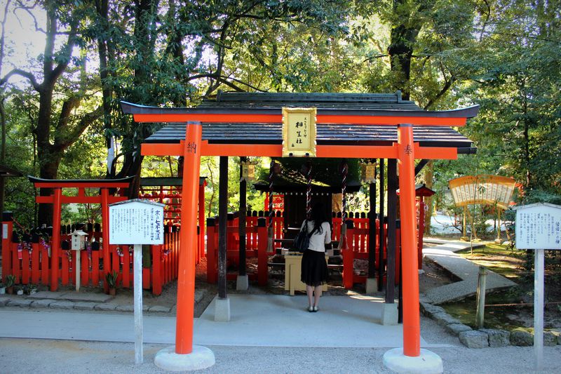 縁結び・美容のパワースポット！世界遺産・下鴨神社でご利益を授かろう楽天トラベル
