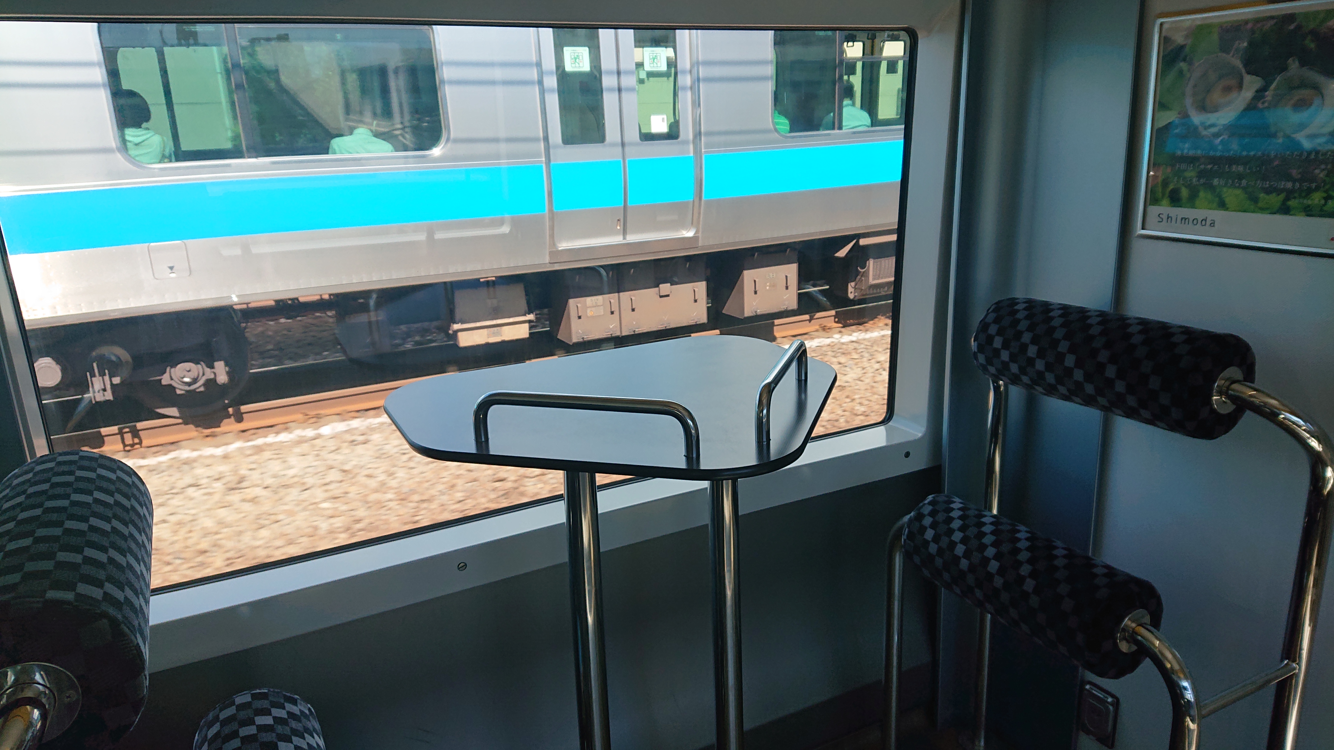 スーパービュー踊り子号の展望席 : 子どもと暮らしと鉄道と