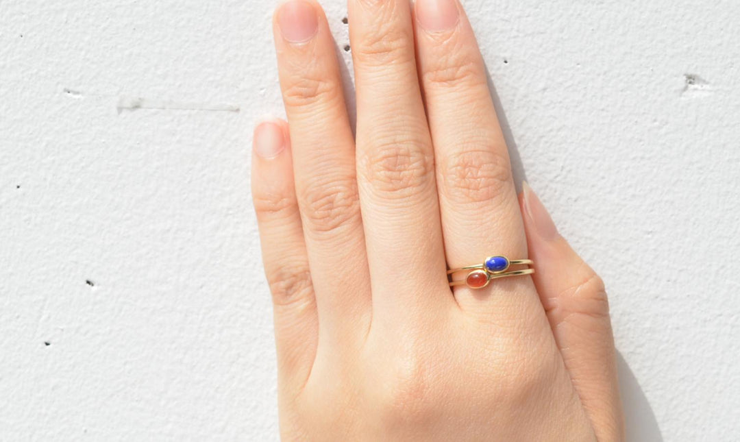 ヒマラヤンラビットスネールとベルーガスネールが仲間入り ヒマラヤンラビットスネールベルーガスネール巻貝貝ミナミヌマエビネイチャーサンドウィローモスアクアリウム巻貝飼育どうやらチョココロネではないようだ