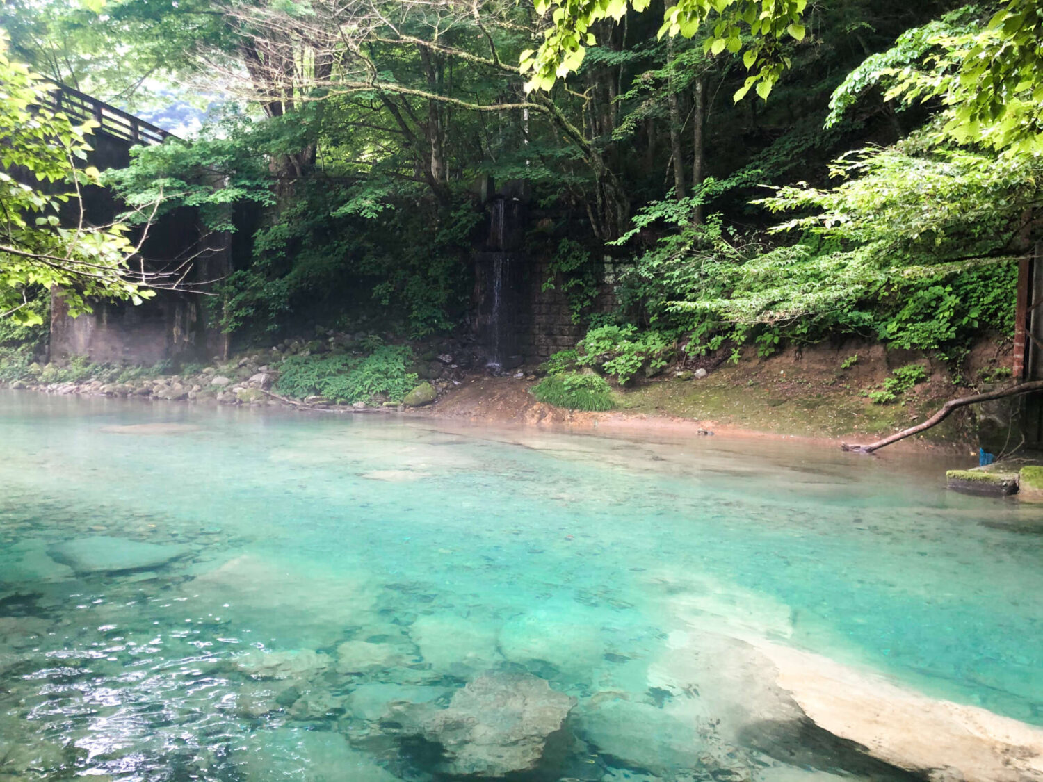 那須のおすすめ観光スポット20選楽天トラベル