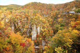 2025年 鳴子峡の紅葉はいつ？見頃時期と絶景スポットアクティビティジャパン