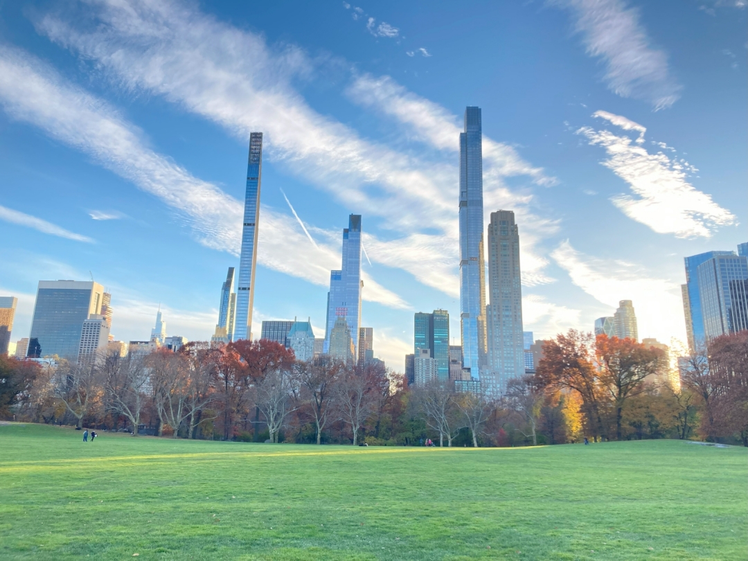 セントラル・パーク - Wikipedia