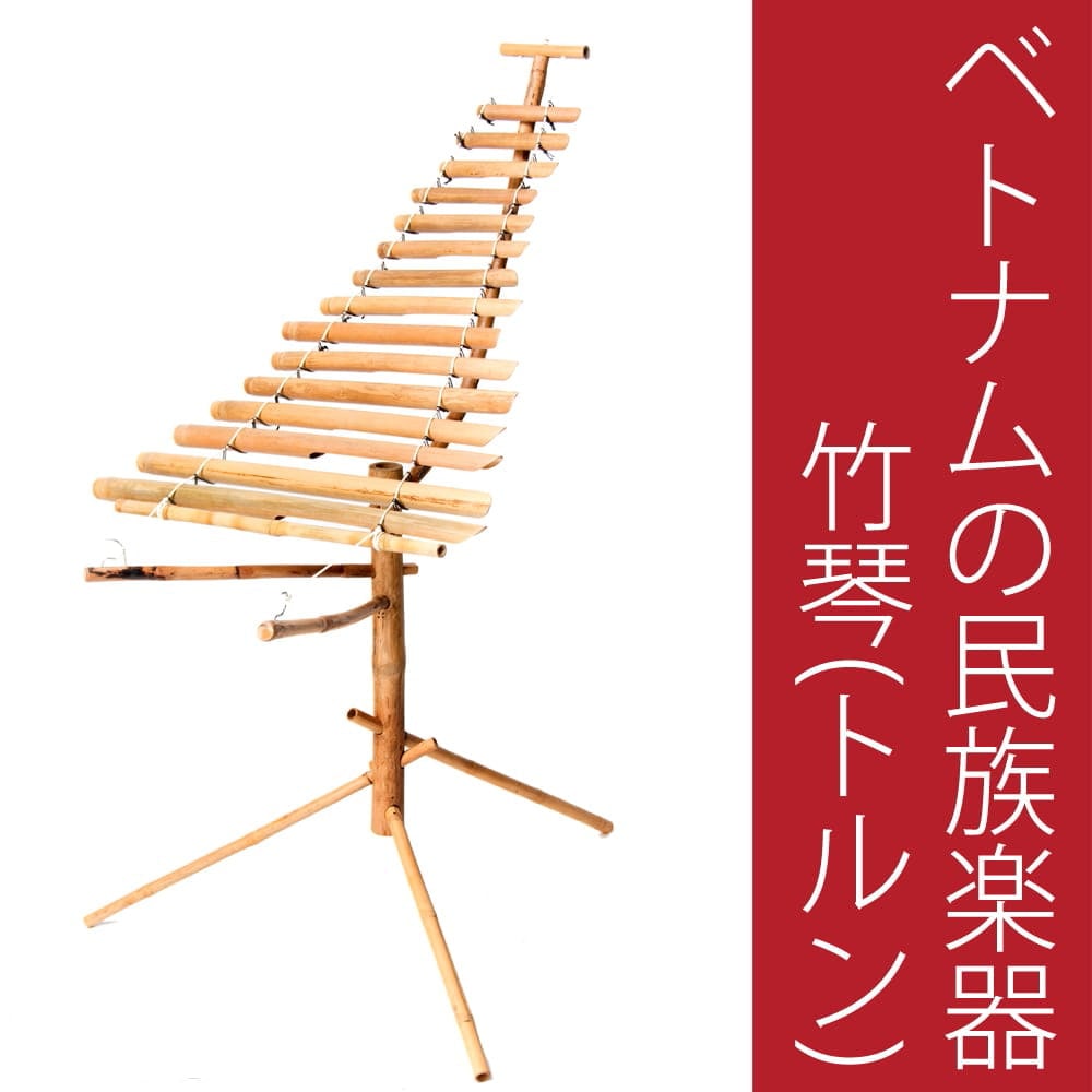 ベトナムの民族楽器 トルンの響き - アジアの音楽と文化