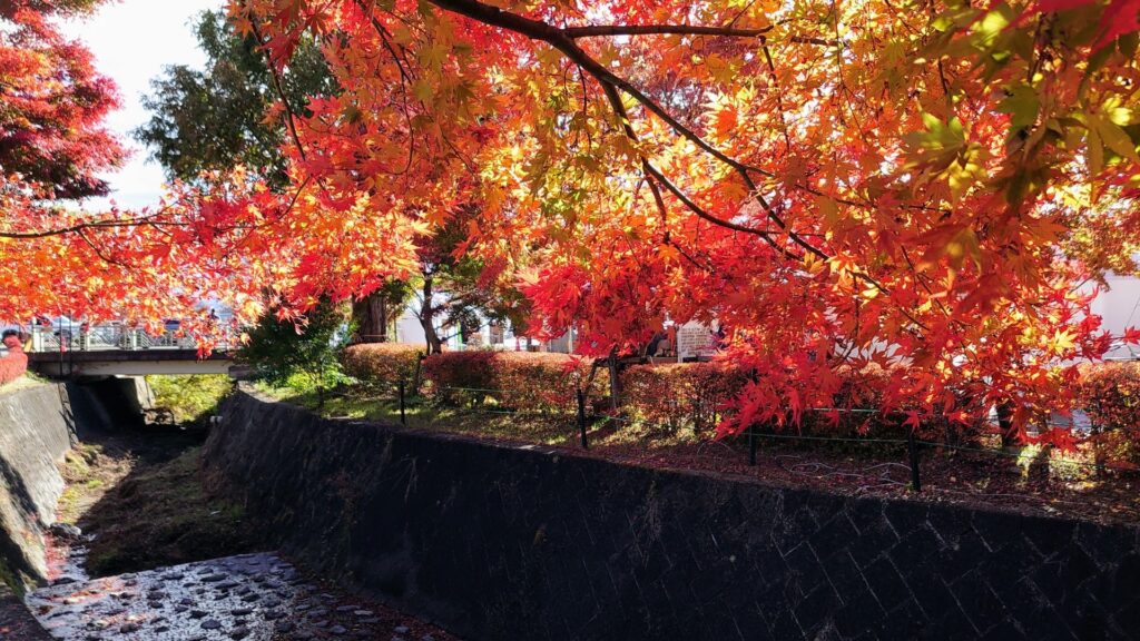 河口湖もみじ回廊山梨県富士河口湖町のおすすめ観光・レジャースポット旅色