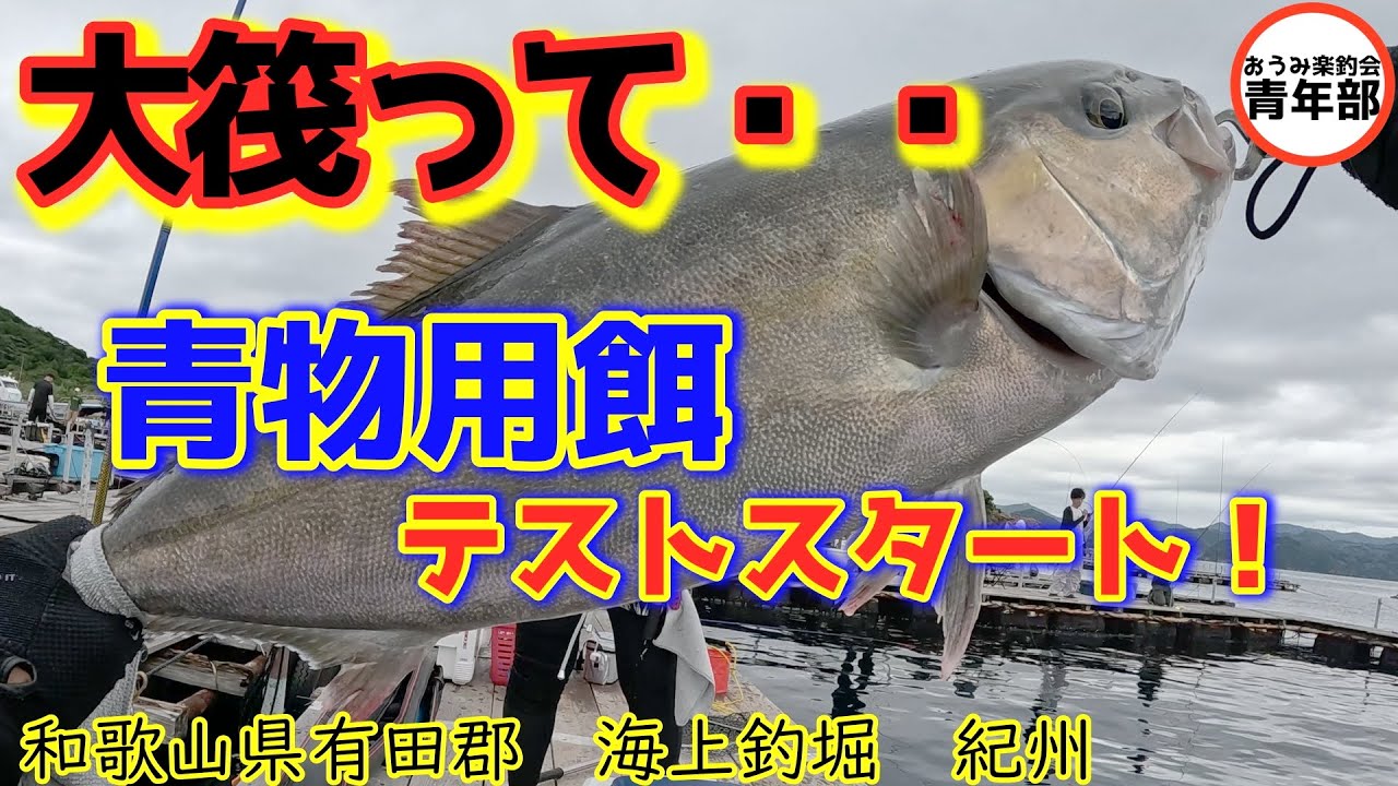 手ぶら＆1時間だけ！漁師の船で海釣り体験♪釣った魚は地元和食屋でご馳走に＠和歌山県白浜