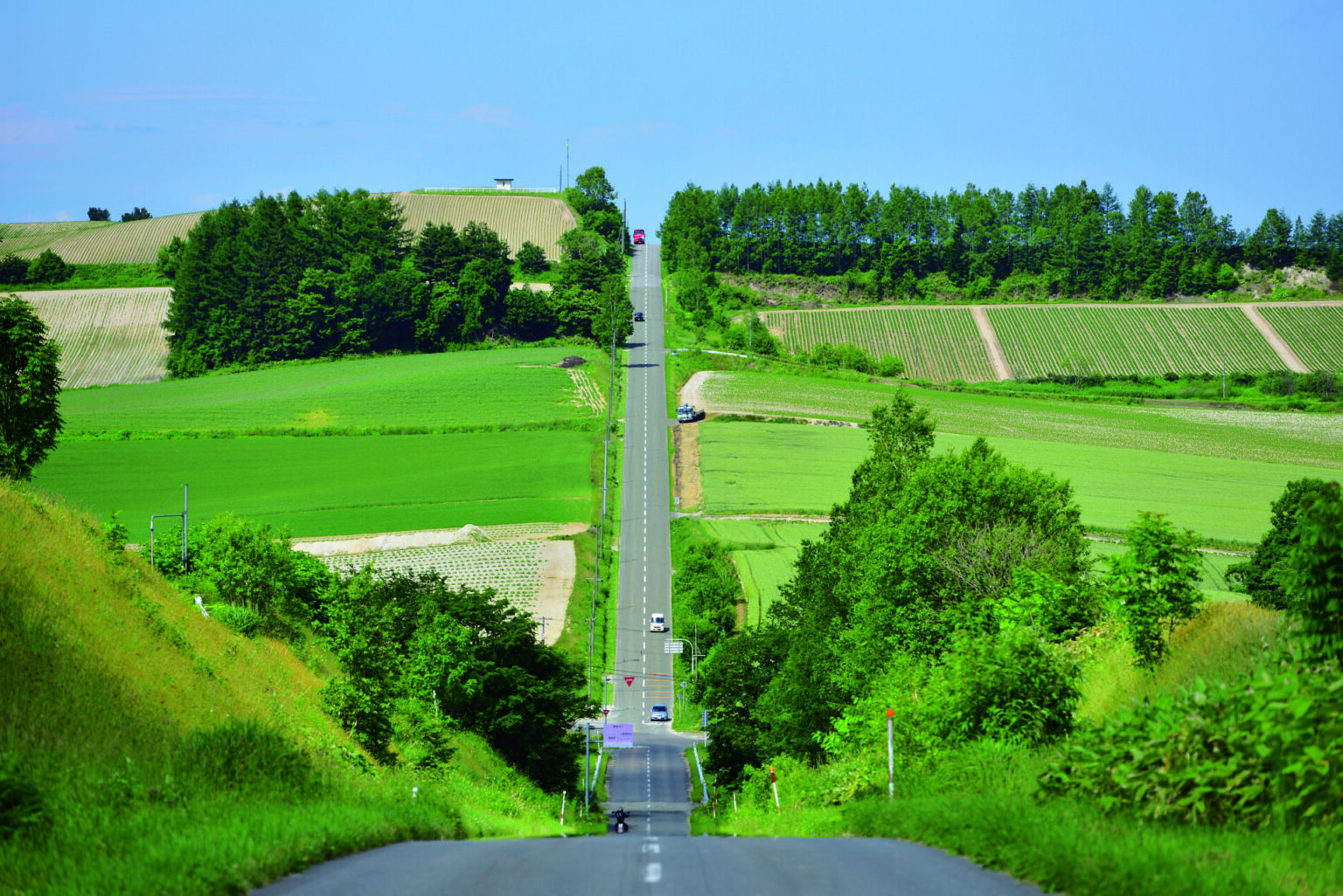 ジェットコースターの路 北海道166562795 の写真素材 - アフロ