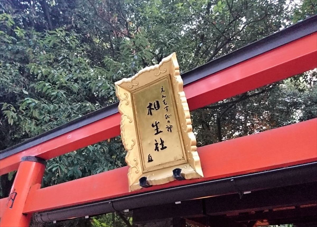 神社の正式参拝方法京都結婚物語ポータル京都から始まる、あなただけの結婚物語