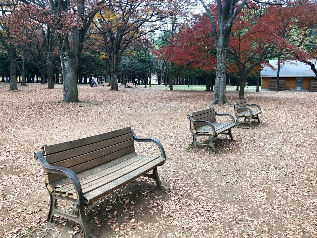 Autumn ~🍂 机のあるベンチは空いてる確率0.0001% 紅葉スポット代々木公園おしゃピク 淡色女子淡色カフェ秋コーデ