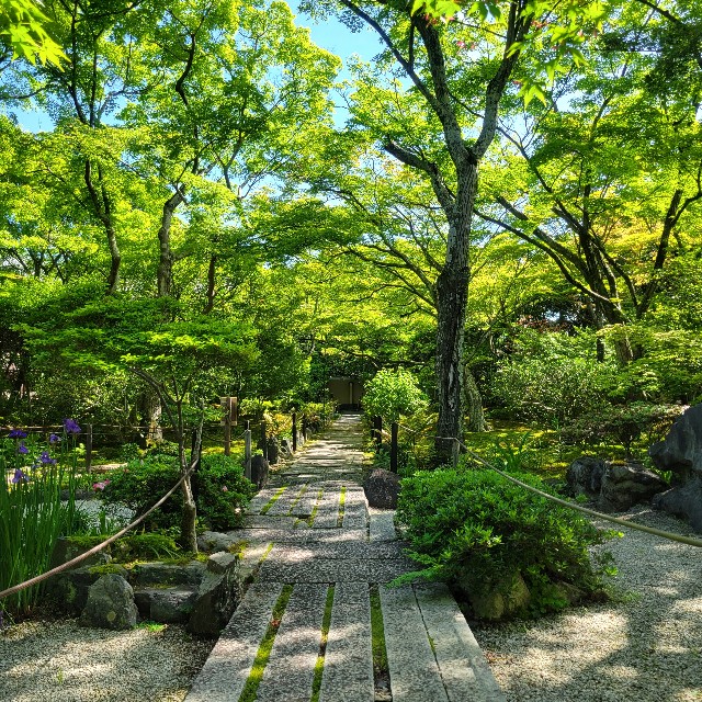 宝筐院京都観光情報 KYOTOdesign