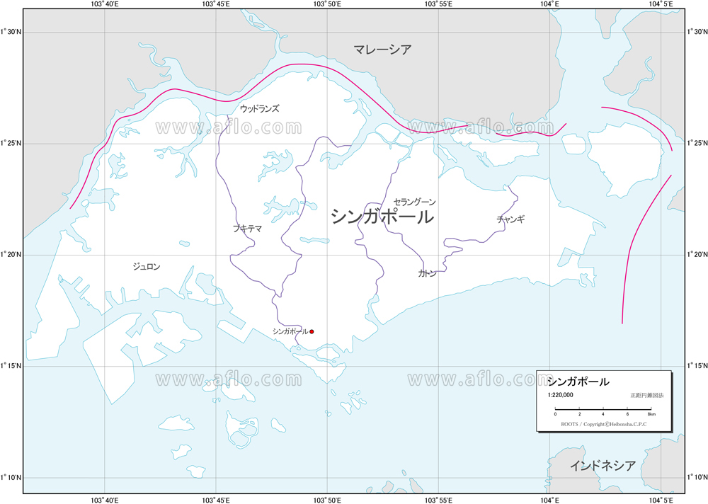 19世紀 西洋古地図 W.G.Blackie シンガポール図