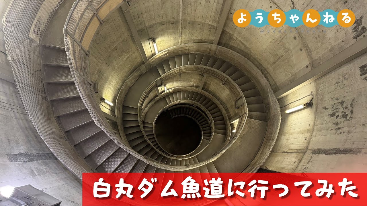 白丸ダム魚道東京 奥多摩にあるカヤックスクール -
