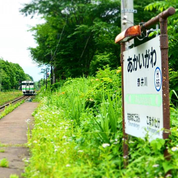 赤井川駅 JR赤井川駅 あかいがわ Akaigawa H66