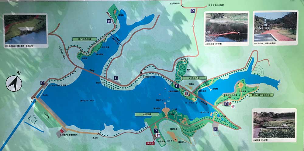 実は桜の名所！ 鋸南・佐久間ダム湖親水公園 -