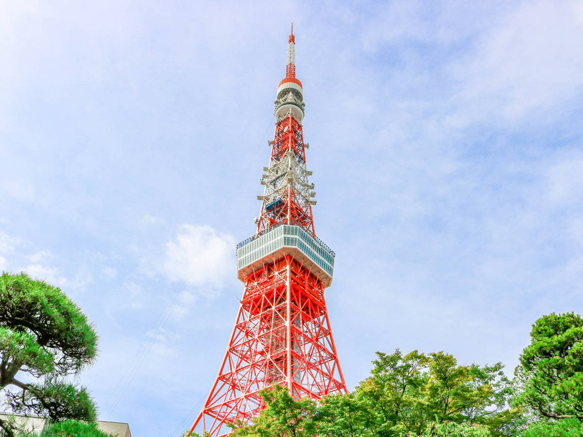 東京・絶景スポットおすすめ16選！ドライブで行こう！定番から穴場まで - じゃらんレンタカードライブガイド