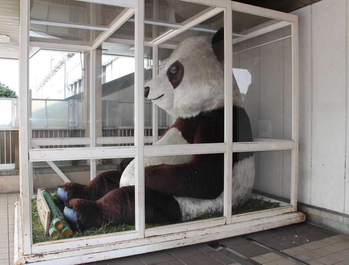 令和6年10月26日～27日 パンダバシピクニック 2024