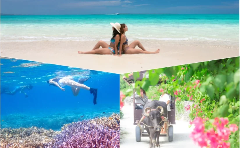 効率重視 幻の島 浜島 ＆竹富島両方楽しめる人気ツアーもご紹介