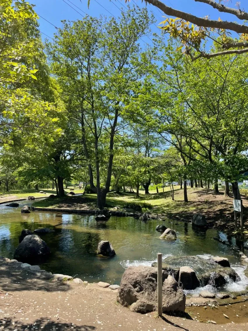 流山セントラルパーク駅 写真素材5379035- フォトライブラリ