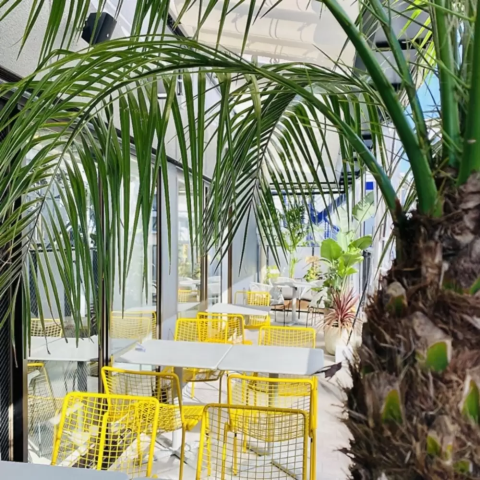 2024 梅田おしゃれカフェ24選！映えスイーツや落ち着くカフェもPrettyOnline