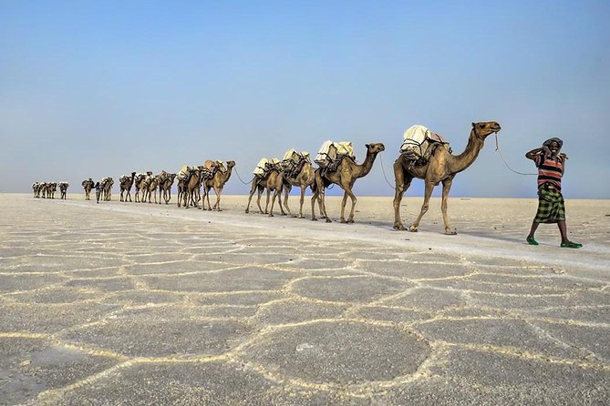 エチオピアの地獄を巡る 世界一過酷なツアー 6日間 - ONLYONE