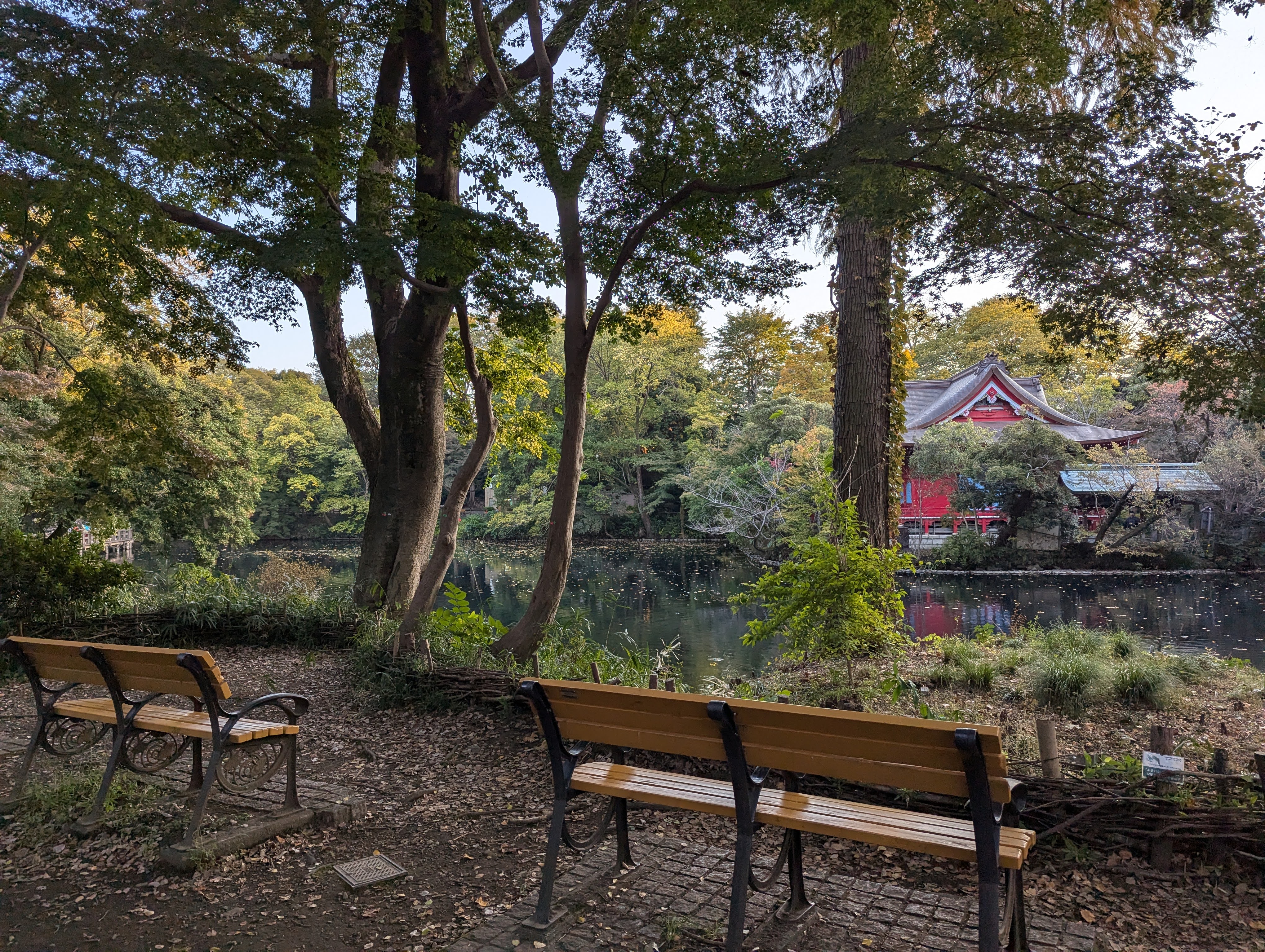 抹茶 隠れ家的カフェ四歩で落ち着いたランチ、休憩を 吉祥寺抹茶スイーツの魅力を発信するブログMatcha trip