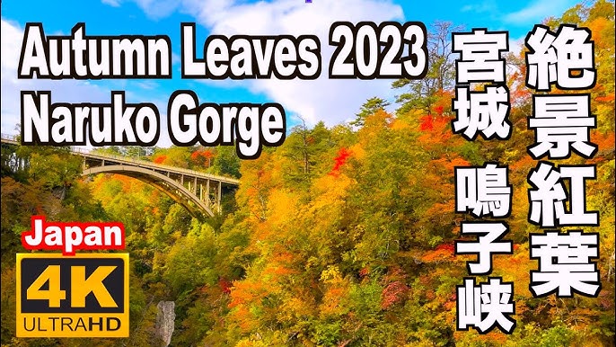 鳴子温泉からひと足のばして 紅葉＆絶景！鳴子で訪れたいオススメスポットるるぶ&more