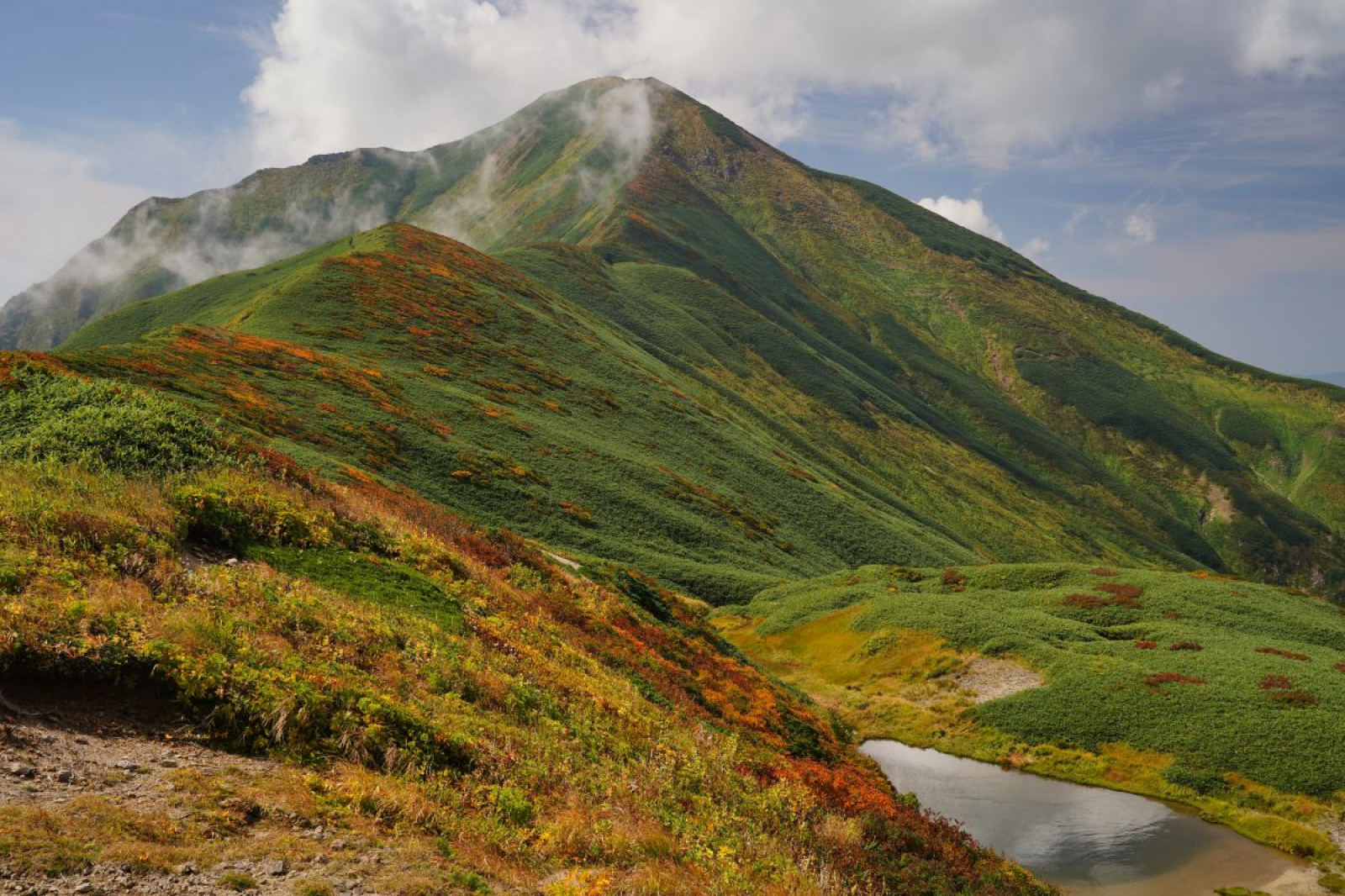 第42回 知られざる梅の郷ハイキング高尾梅郷へ 東京都・八王子市旅恋