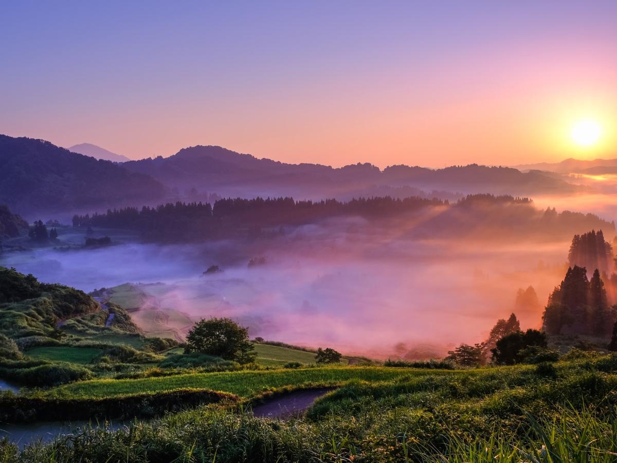 星峠の棚田 新潟県ロケ地 検索 全国ロケーションデータベース