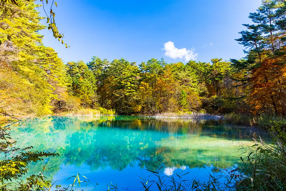 五色沼自然探勝路 アクセス・営業時間・料金情報 -