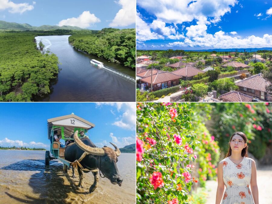 現地集合のみ予約可 石垣島 幻の島ツアー・当日予約＆泳がない方もok・ドローン撮影付・シュノーケルや竹富島観光オプションあり・竹富島、西表島など各離島チケット15~最大25％off 半日