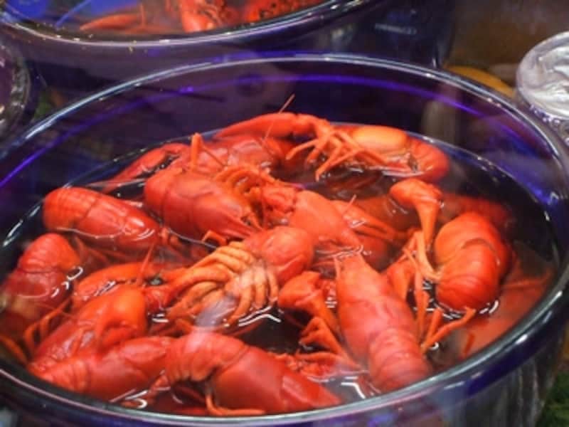 夏の北欧の風物詩、ザリガニパーティー』Northmall+ ノースモールプラス