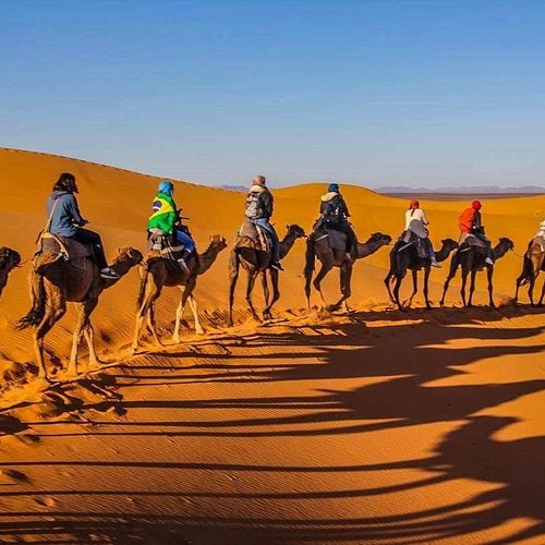 スペイン広場の近くでジェラート食べました🍨 ベルガモット味とピスタチオ味が美味しかった！！イタリア ジェラート スペイン広場