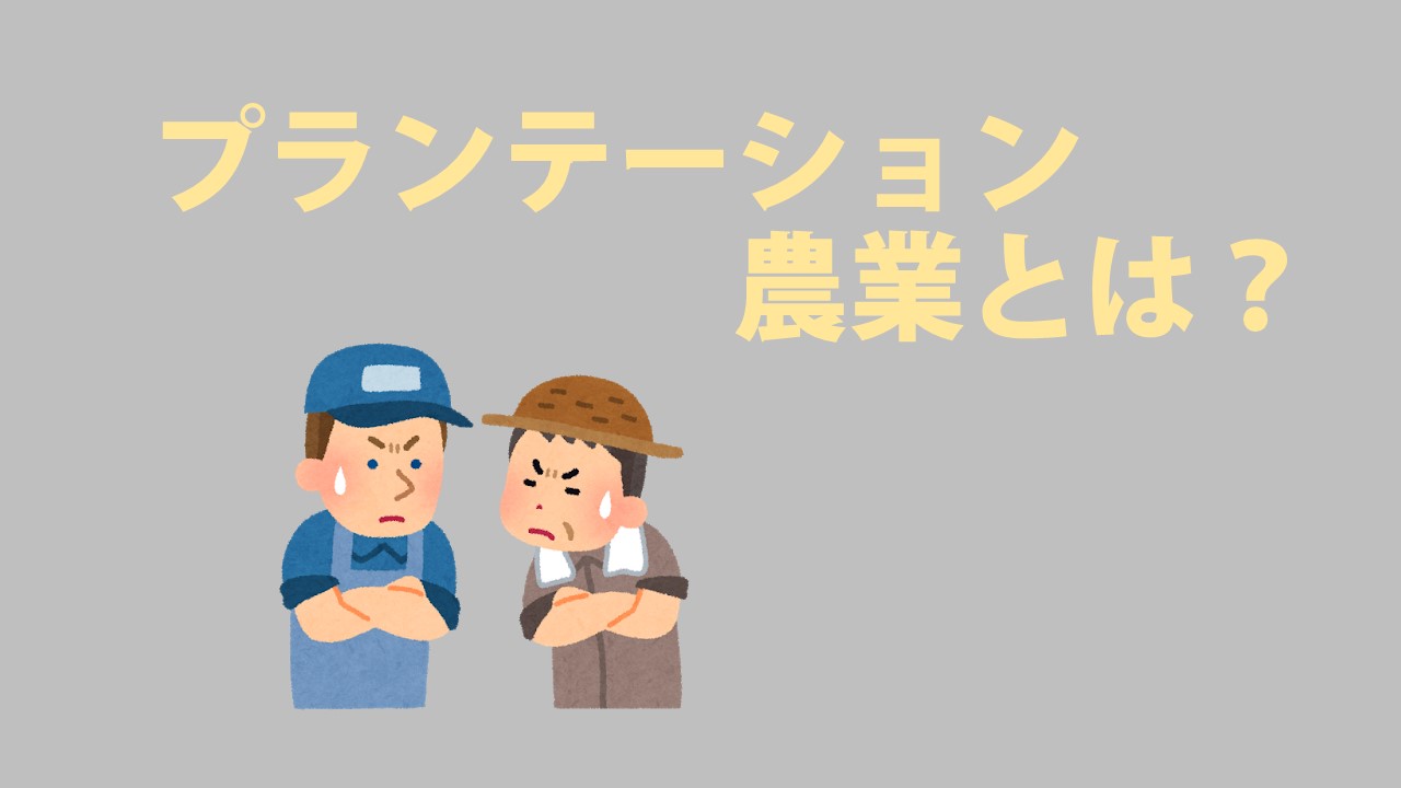 アフリカのプランテーションってどこにあるの？栽培されている作物まとめ