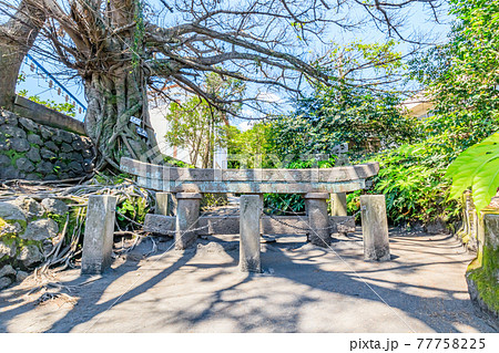 黒神埋没鳥居 鹿児島県鹿児島市の写真素材77758225- PIXTA