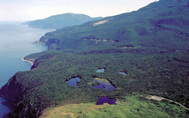 小型船おーろら3・ルシャ湾航路 ヒグマの聖地・ルシャ湾や迫力ある知床の景色をお楽しみ下さい♪～女性・カップル・ファミリー・お友達同士におすすめ～ 知床観光船おーろら