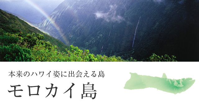 ハワイ、モロカイ島とマウイ島のモロカイ・ボヤージ・ヘリコプターツアーKlook