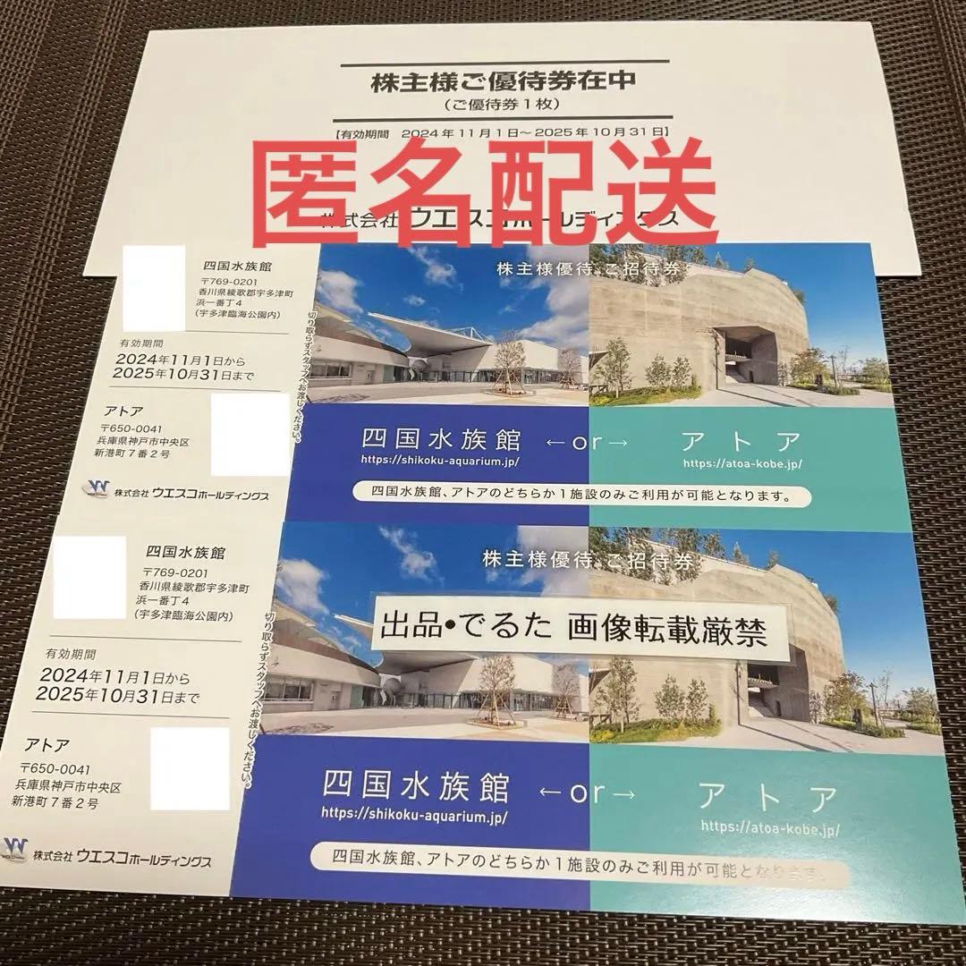 新聞社とコラボレート 地方創生とコミュニケーションの新たな起点となる四国水族館読売新聞活用ストーリー読売新聞ビジネス局・イノベーション本部ポータルサイト adv.yomiuri