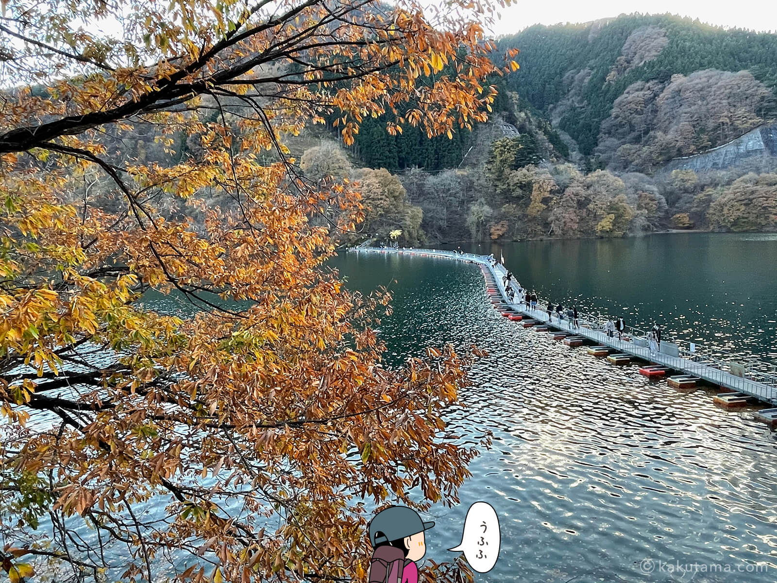 麦山浮橋。紅葉見ながら気持ちいい湖上散歩。 こっちの浮橋の方がtouring spice