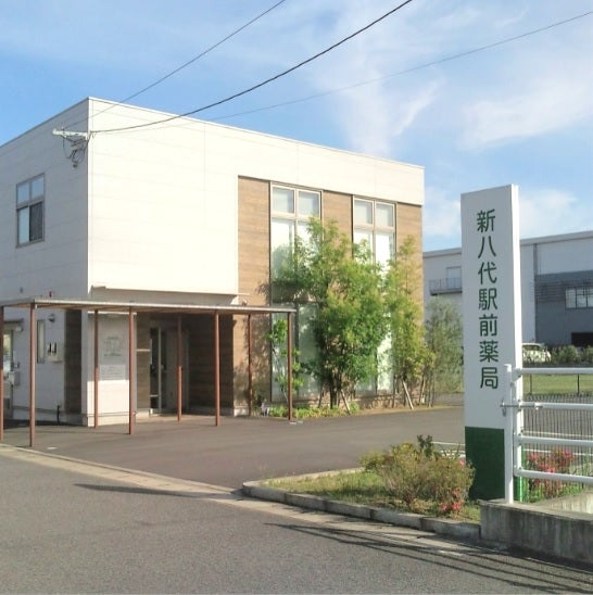 Feel Fine! : お隣の新八代駅で下車、新幹線駅の高架下通り抜けて東口駅前広場の高速バスのりばに移動