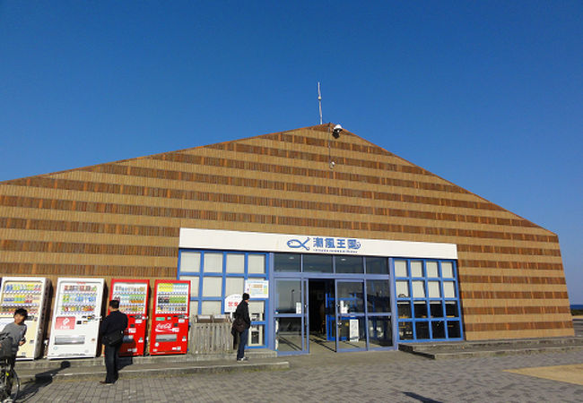 道の駅 ちくら・潮風王国千葉県南房総市のおすすめ観光・レジャースポット旅色