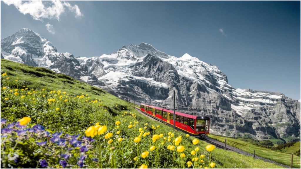 ヨドバシ.com - スイスアルプス登山鉄道DVD通販 全品無料配達