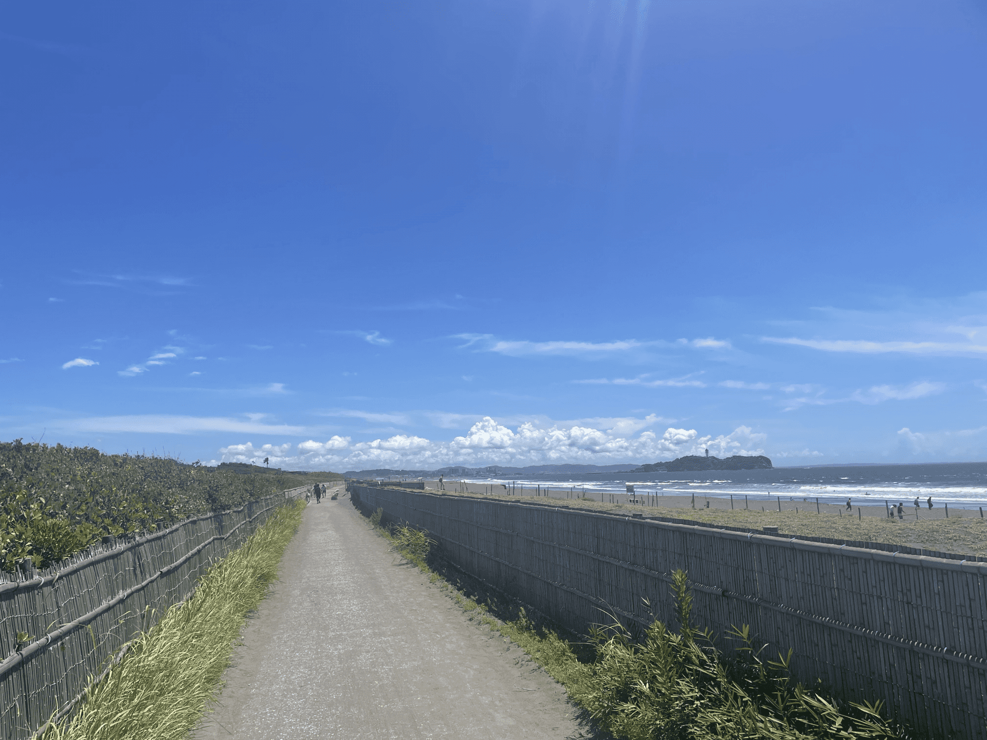 サイクリングスポット ロコ気分に浸る湘南サイクリング -神奈川県藤沢市-コラムちりりん ー「知る」「体験する」「走る」あさひのサイクリング ポータルサイト