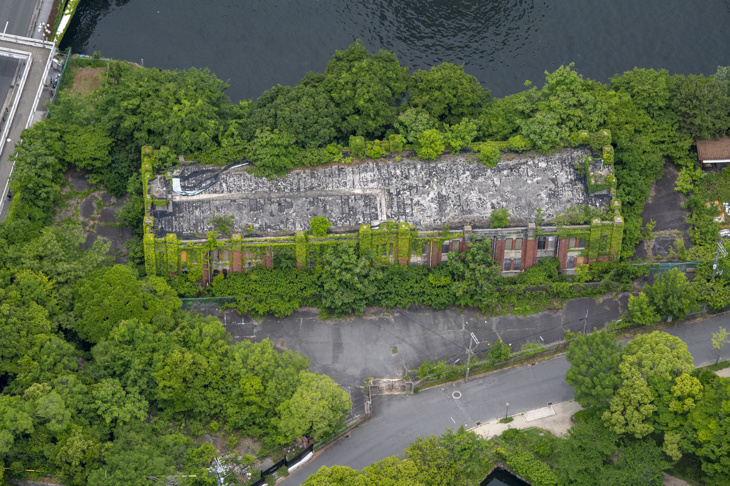 OSAKA WAKUWAKU BASEacoloca