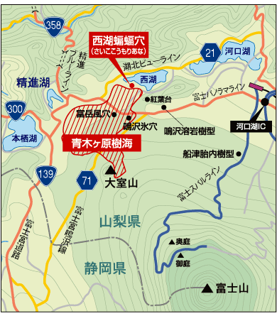 青木ヶ原樹海 行き方 駐車場 入口看板場所 散策コース紹介。遊歩道をハイキングが魅力！優秀な自然観光名所