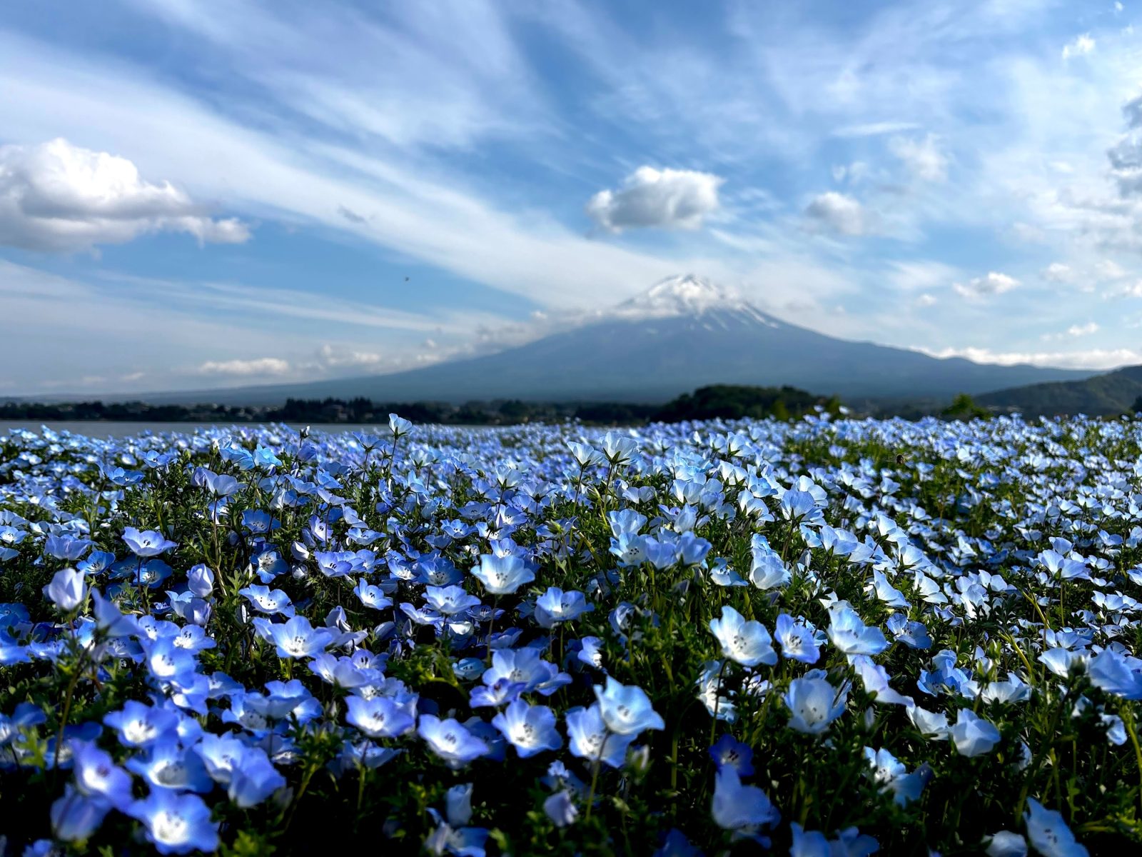 浅間山・八ヶ岳を満喫！軽井沢発の登山スポットと服装・装備ガイド - あさま空山望