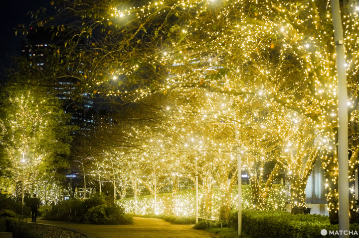 約400m続くSnow&Blue、六本木ヒルズのイルミが点灯開始