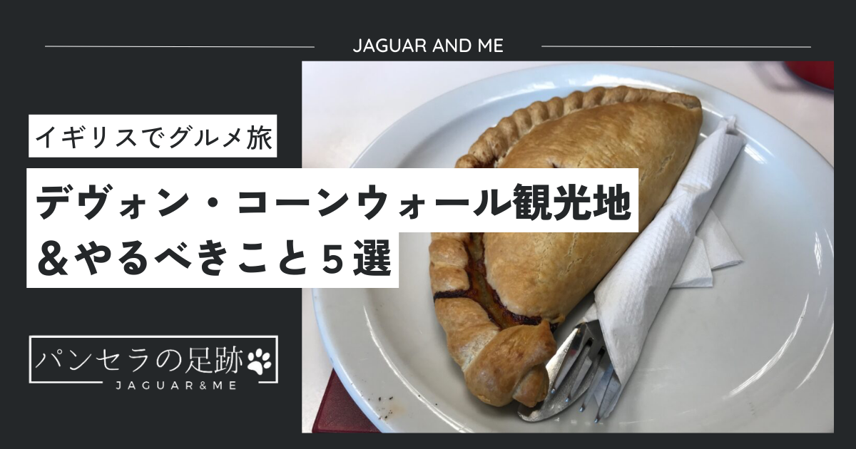 2025年 デボン州で絶対外さないおすすめ観光スポットトップ10 -